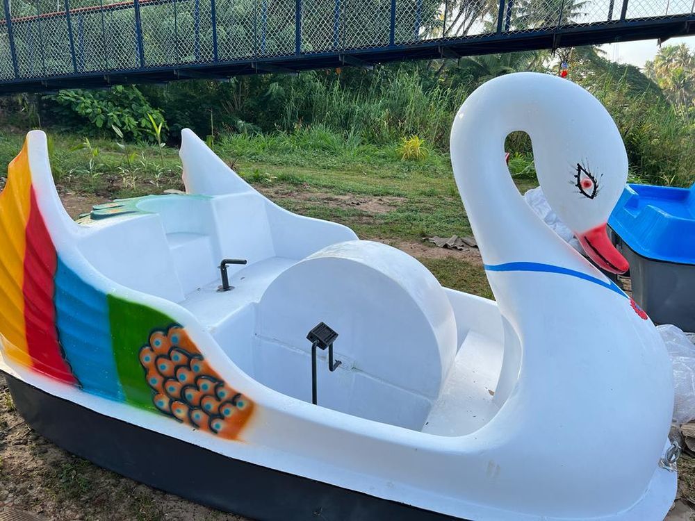 Pedal Boat ( Sport)
